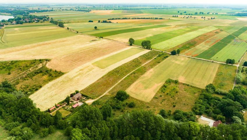 Działka Sprzedaż Wolin